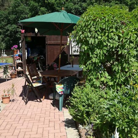 Ferienwohnung Am Wald 萨兰德特 外观 照片