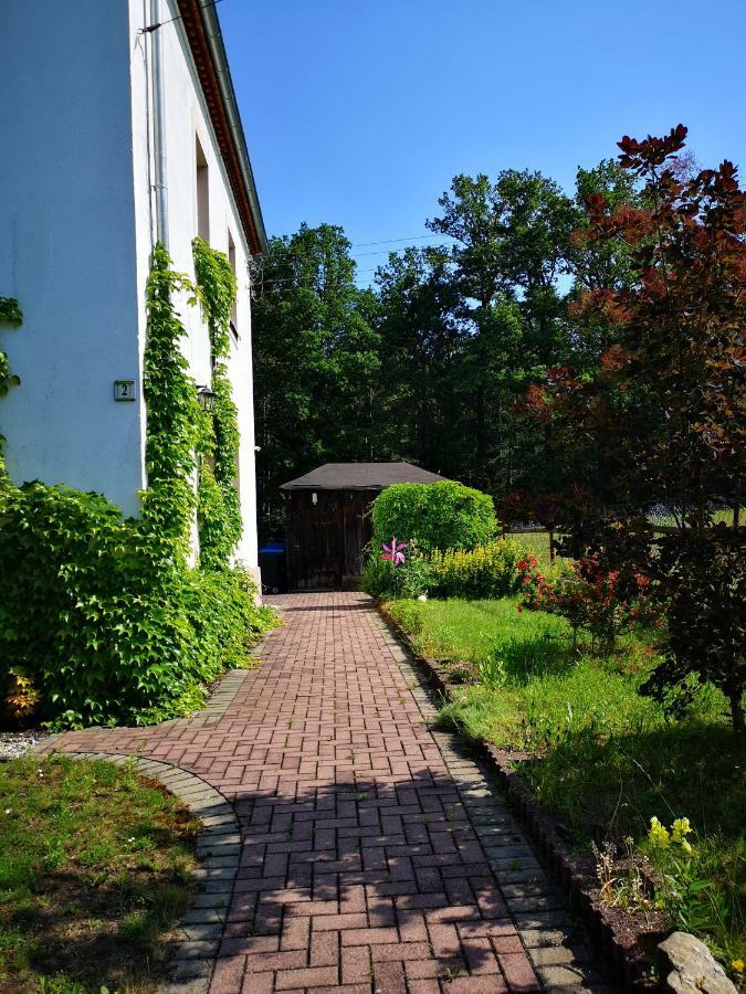 Ferienwohnung Am Wald 萨兰德特 外观 照片